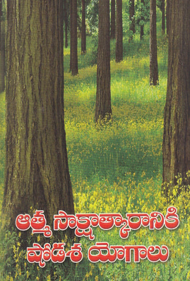 Atma Sakshatkaraniki Shodasa Yogalu (Telugu)
