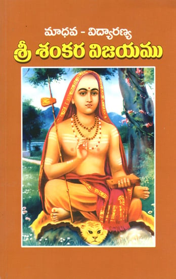 Sri Sankara Vijayam (Telugu)