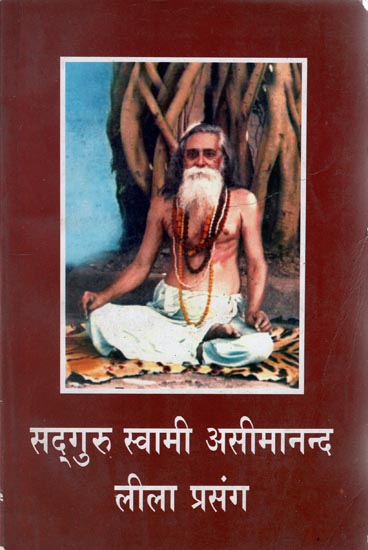 सद्गुरु स्वामी असीमानन्द लीला प्रसंग - Lila of Sadguru Swami Aseemananda