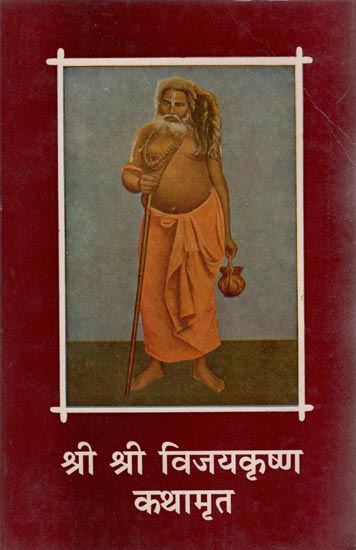 श्री श्री विजयकृष्ण कथामृत - Divine Narrations of Shri Shri Vijayakrishna