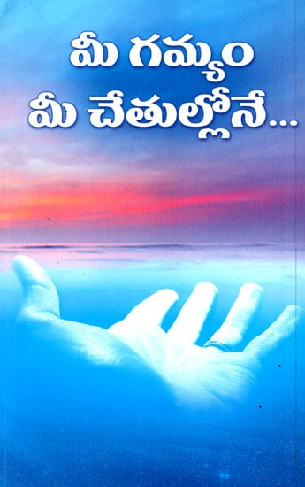 Mee Gamyam Mee Chetullonae (Telugu)