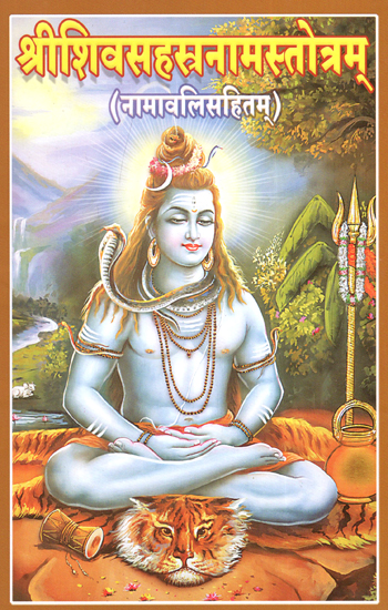 श्रीशिवसहस्रनामस्तोत्रम् - Sri Siva Sahasranama Stotram (Including Namavali)