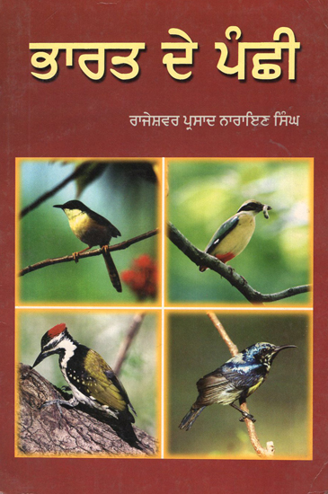 Birds of India (Punjabi)