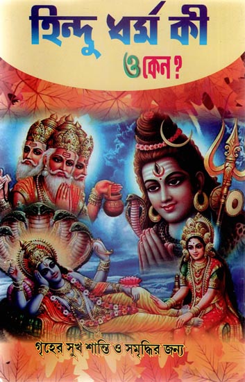 Hindu Dharmo Ki O Keno ? - Bengali (2nd Volume)