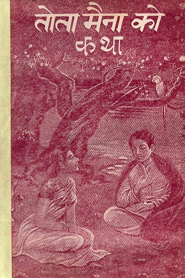 तोता मैना को कथा: Tota Maina ko Katha- A Novel in Nepali (An Old and Rare Book)