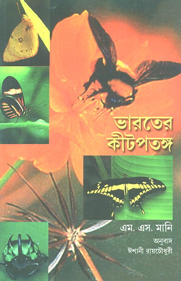 Insects (Bengali)