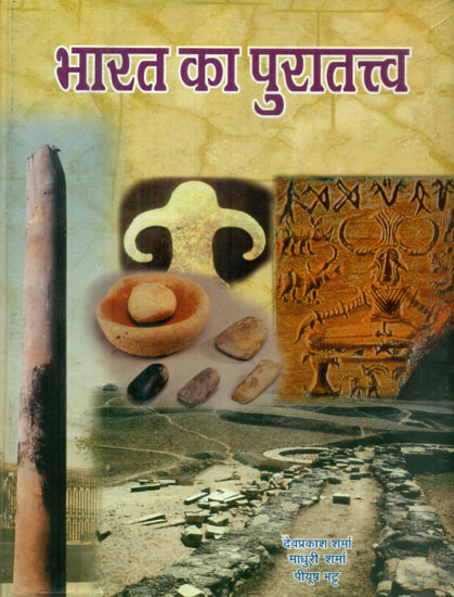 भारत का पुरातत्त्व - Archaeology of India