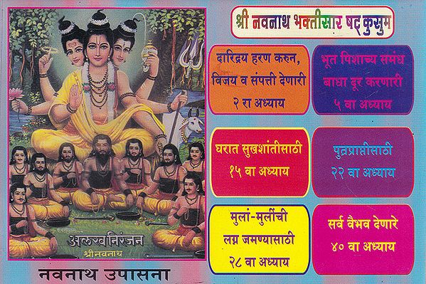 श्री नवनाथ भक्तिसार षट् कुसुम- Shri Navnath Bhaktisara Shat Kusum (Marathi)