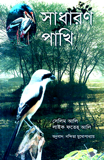 Common Birds (Bengali)