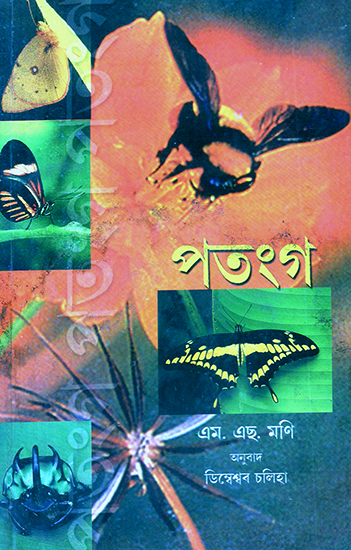 Patanga- Insects (Assamese)