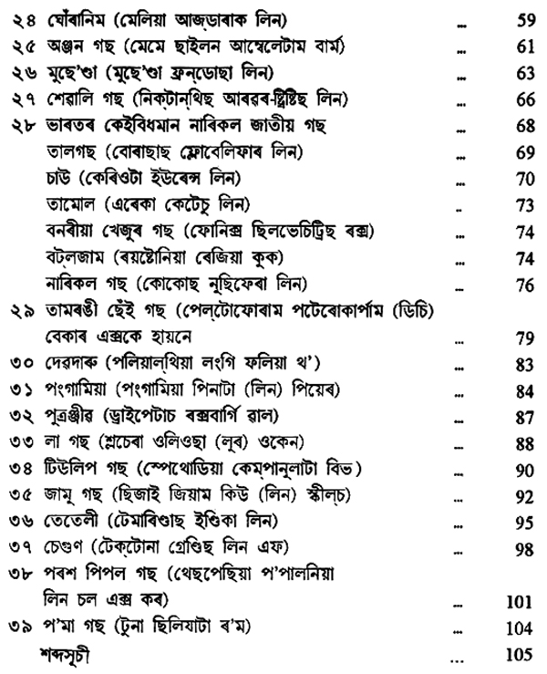 Common Trees (Assamese) Exotic India Art