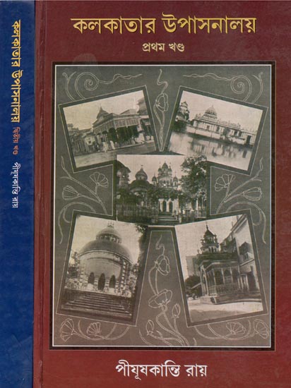 Museums of Kolkata (Set of Two Volumes in Bengali)
