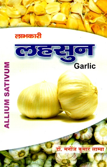 लाभकारी लहसुन- Beneficial Garlic