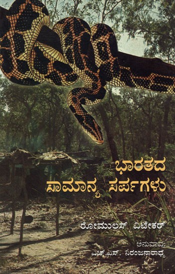 Common Indian Snakes: A Field Guide (Kannada)