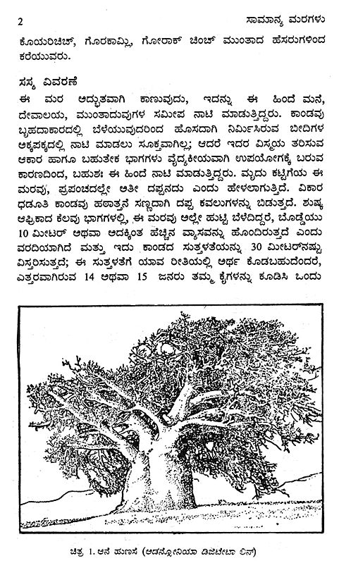 essay of tree in kannada