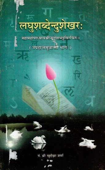 लघुशब्देन्दुशेखर:- Laghu Shabdendu Shekhar (An Old and Rare Book)