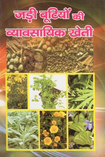 जड़ी बूटियों की व्यावसायिक खेती - Commercial Cultivation of Herbs