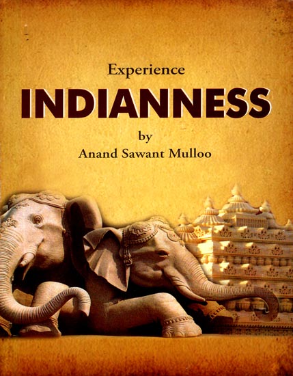 Experience Indianness (Anand Sawant Mulloo)