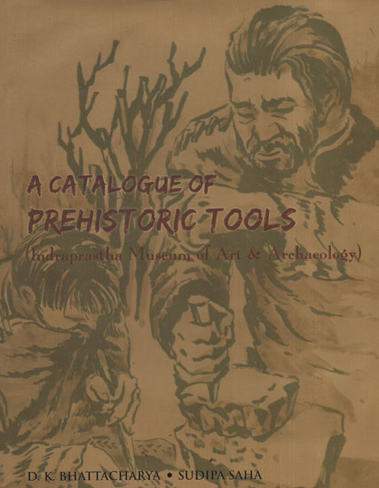 A Catalogue of Prehistoric Tools (Indraprastha Museum of Art and Archaeology)