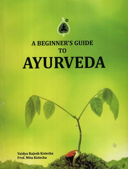 A Beginners Guide to Ayurveda