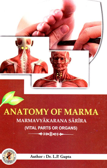 Anatomy of Marma- Marmavyakarana Sarira (Vital Parts or Organs)