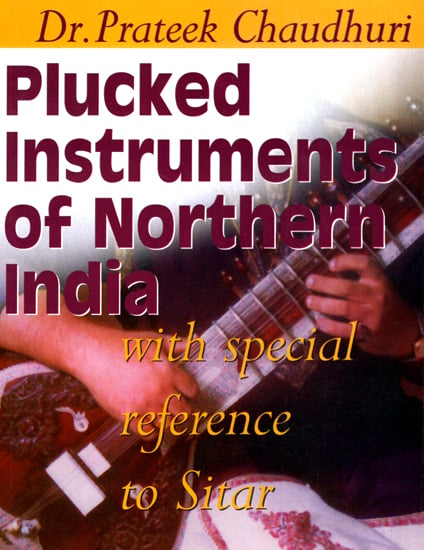 Plucked Instruments of Northern India with Special Reference to Sitar