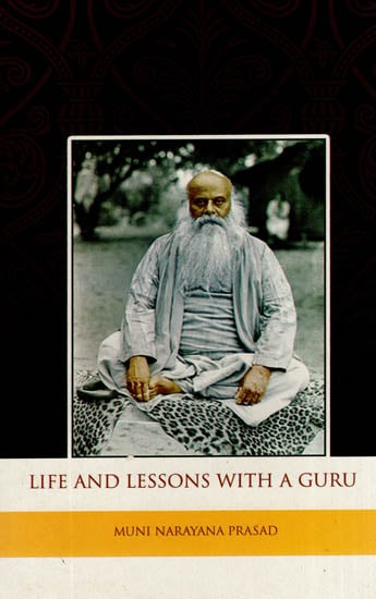 Life and Lessons with a Guru