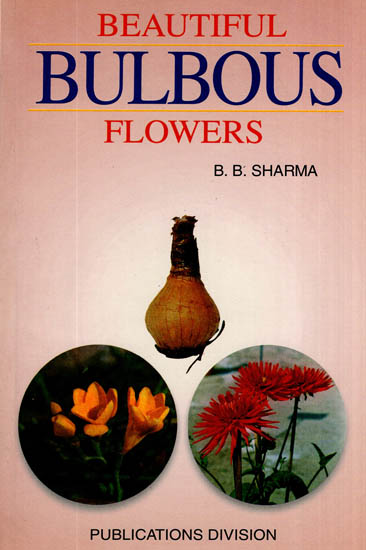 Beautiful Bulbous Flowers