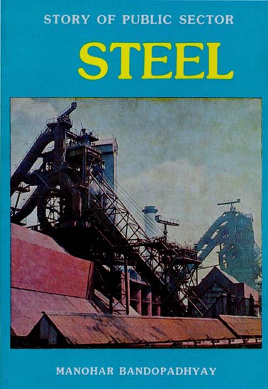 Steel- Story of Public Sector