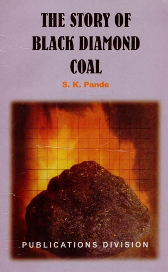 The Story of Black Diamond Coal
