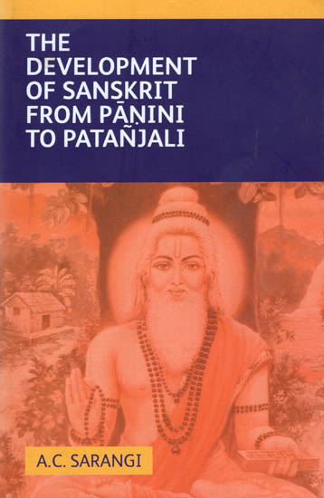 The Development of Sanskrit from Panini to Patanjali