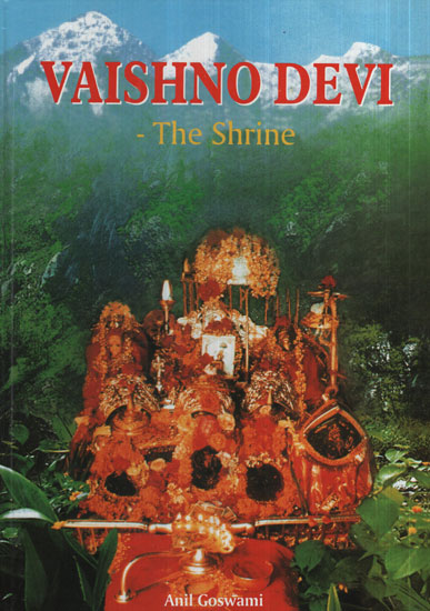 Vaishno Devi (The Shrine)