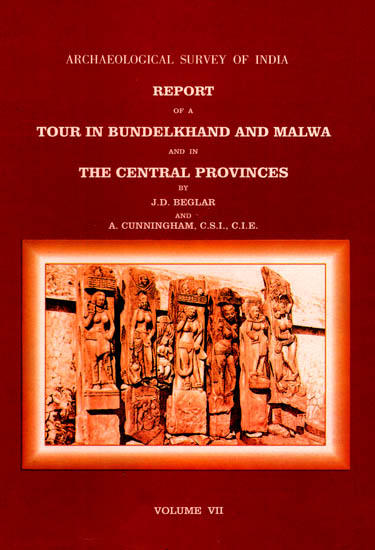 Archaeological Survey of India Report of a Tour in Bundelkhand and Malwa and in the Central Provinces (Volume 7)
