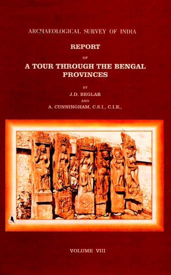 Archaeological Survey of India Report of A Tour Through the Bengal Provinces (Volume 8)