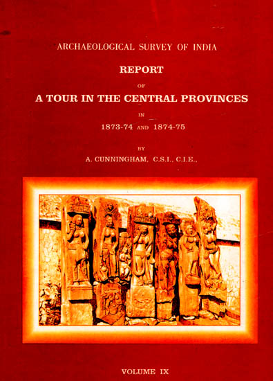 Archaeological Survey of India Report of A Tour in the Central Provinces in 1873-74 and 1874-75 (Volume 9)