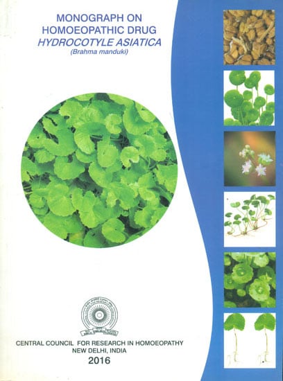 Monograph on Homoeopathic Drug Hydrocotyle Asiatica