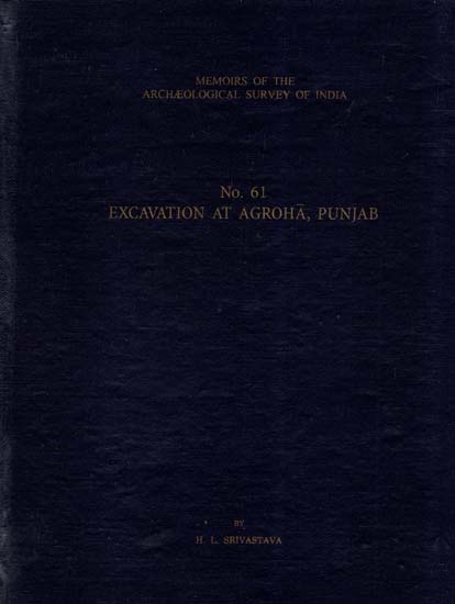 Excavation At Agroha, Punjab (Memoirs of Archaeological Survey of India)