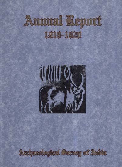 Annual Report of Archaeological Survey of India (1919-1920)