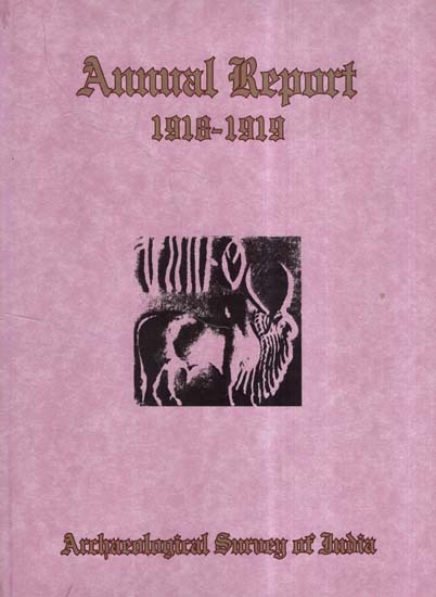 Annual Report of Archaeological Survey of India (1918-1919)