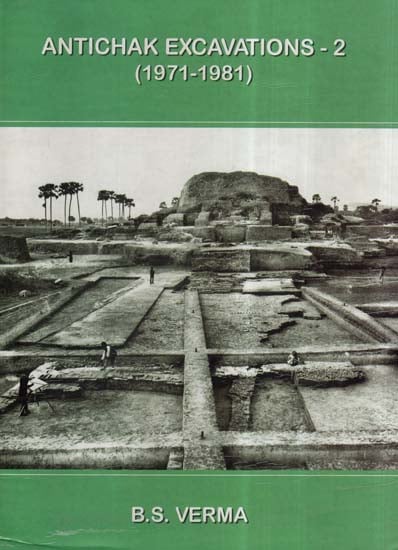 Antichak Excavations- 2 (1971-1981)