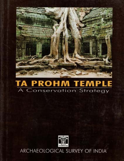 Ta Prohm Temple- A Conservation Strategy