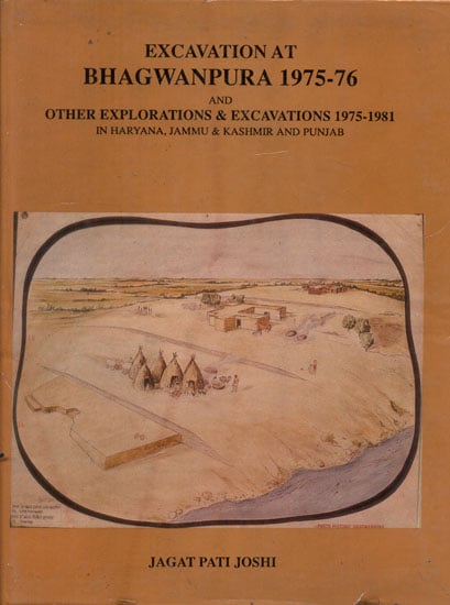 Excavation At Bhagwanpura 1975-76 (An Old and Rare Book)