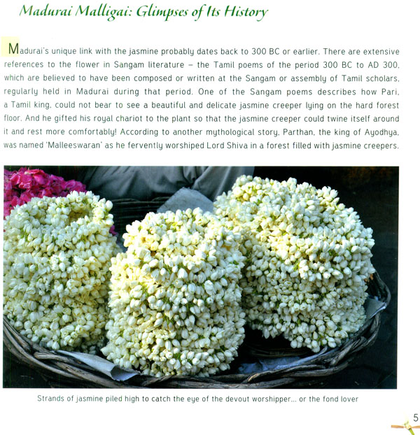 Madurai Malligai - Madurai and Its Jasmine (A Celebration) | Exotic ...