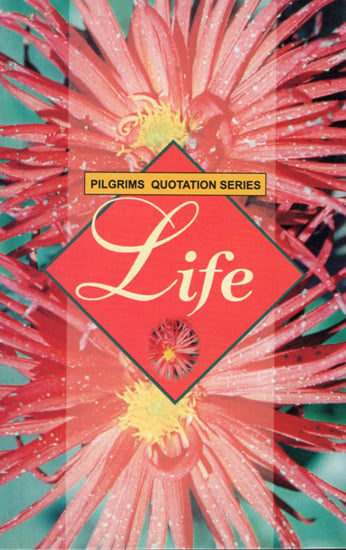 Pilgrims Quotation Series- Life