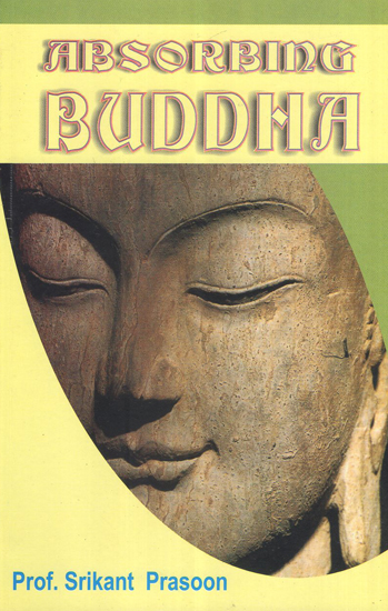 Absorbing Buddha