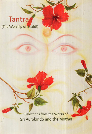 Tantra (The Worship of Shakti)