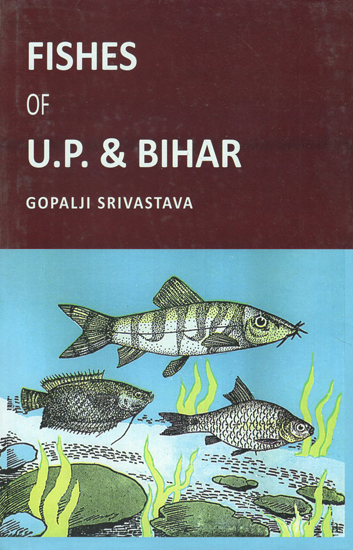 Fishes of U.P. & Bihar