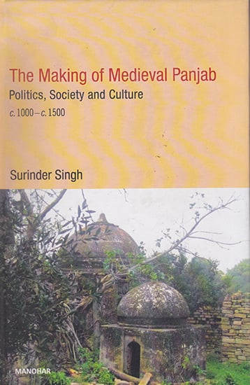 The Making of Medieval Punjab (Politics, Society and Culture c. 1000-c. 1500)