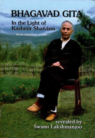 Bhagavad Gita in the Light of Kashmir Shaivism