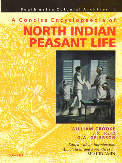 A Concise Encyclopaedia of North Indian Peasant Life
